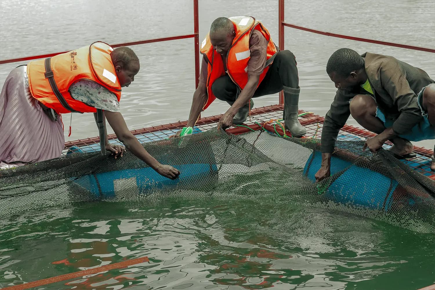 Building sustainable, skilled livelihoods.